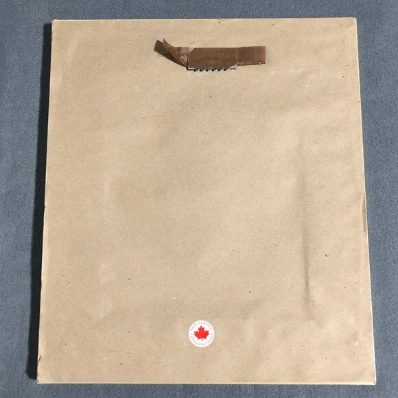 Whiteaker Palm Artwork By Betty Whiteaker "Phoenix Canariensis" - Picture 6 of 10